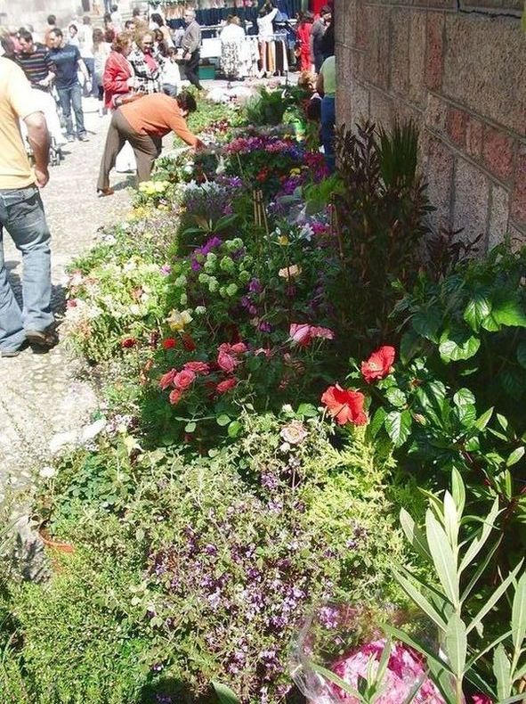 Foto de Cangas de Onís (Asturias), España