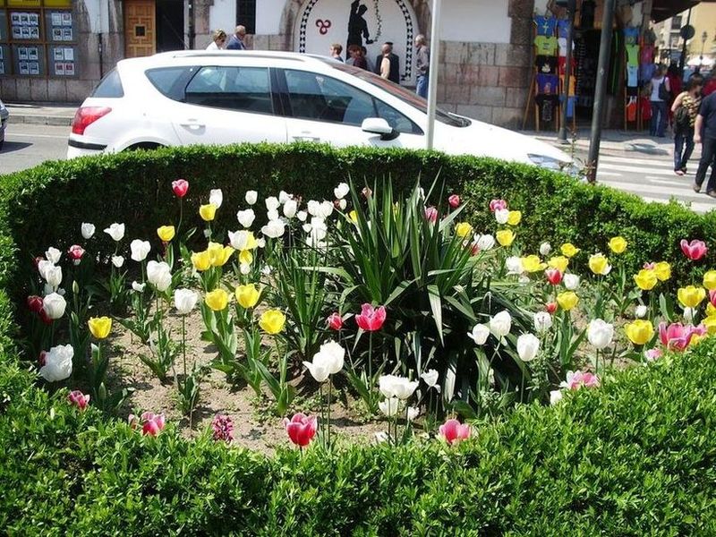 Foto de Cangas de Onís (Asturias), España