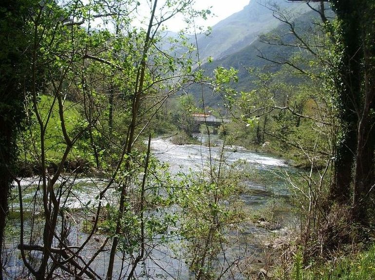 Foto de Tornin (Asturias), España