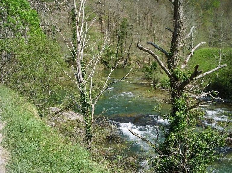 Foto de Tornin (Asturias), España