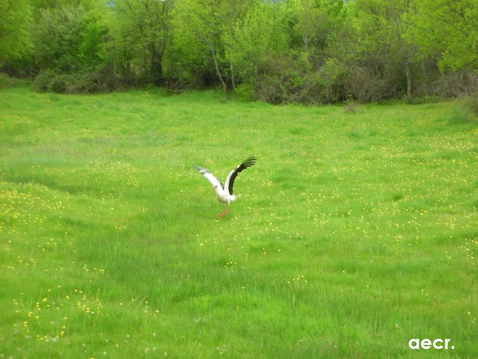 Foto de Gallegos (Segovia), España