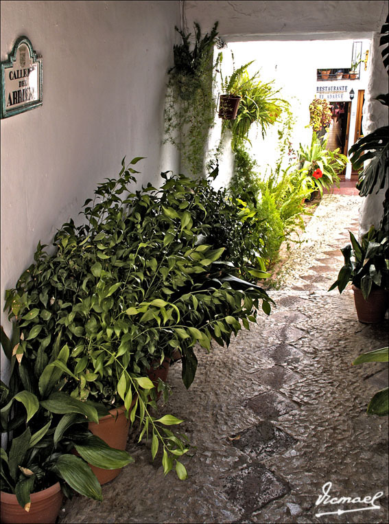 Foto de Frigiliana (Málaga), España