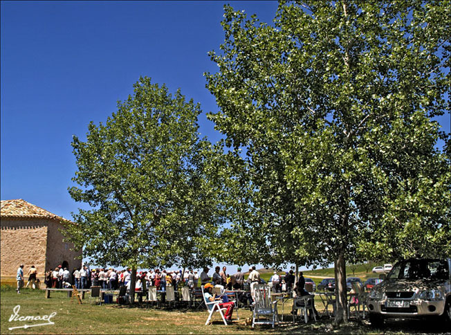 Foto de Alconchel de Ariza (Zaragoza), España