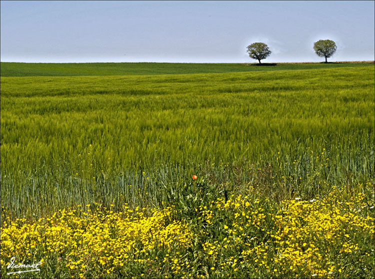 Foto de Alconchel de Ariza (Zaragoza), España