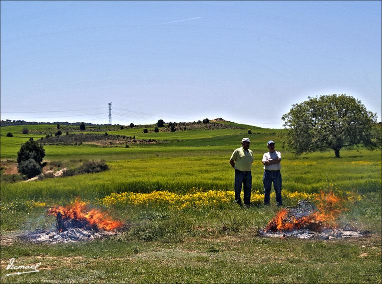 Foto de Alconchel de Ariza (Zaragoza), España