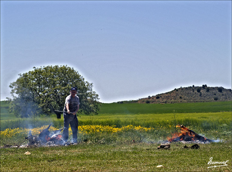 Foto de Alconchel de Ariza (Zaragoza), España