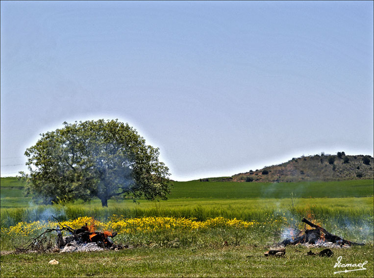 Foto de Alconchel de Ariza (Zaragoza), España
