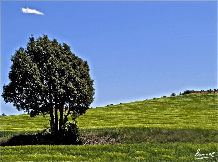 Foto de Alconchel de Ariza (Zaragoza), España