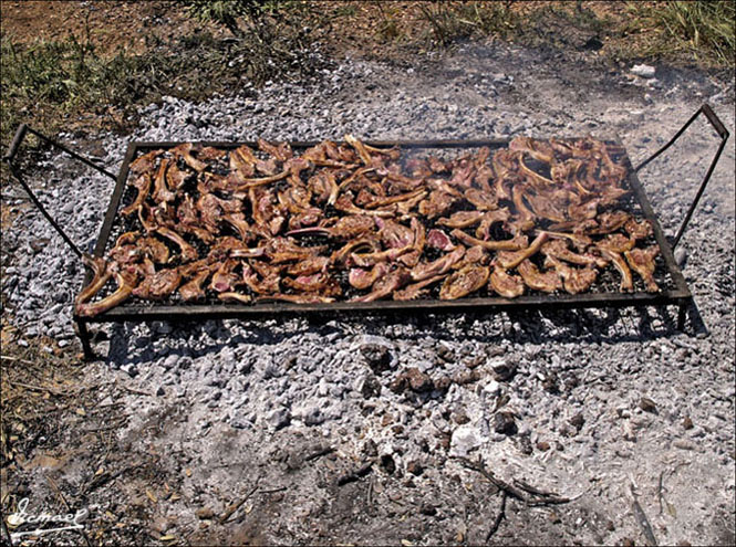 Foto de Alconchel de Ariza (Zaragoza), España