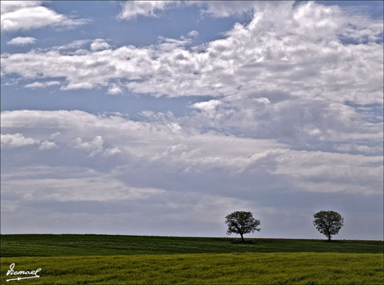 Foto de Alconchel de Ariza (Zaragoza), España