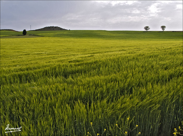 Foto de Alconchel de Ariza (Zaragoza), España