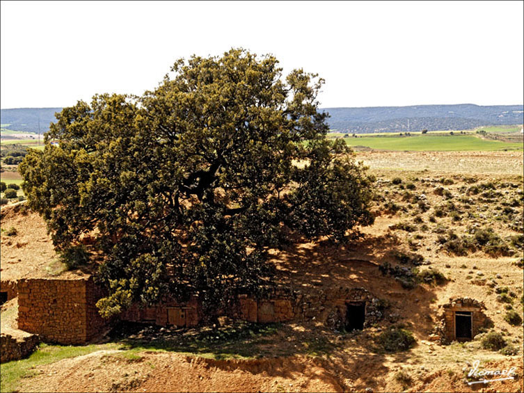 Foto de Torrehermosa (Zaragoza), España