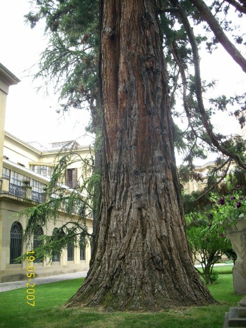 Foto de Pamplona (Navarra), España