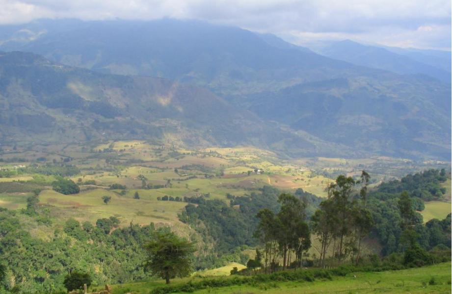 Foto de Sierra Nevada del Cocuy (Casanare), Colombia