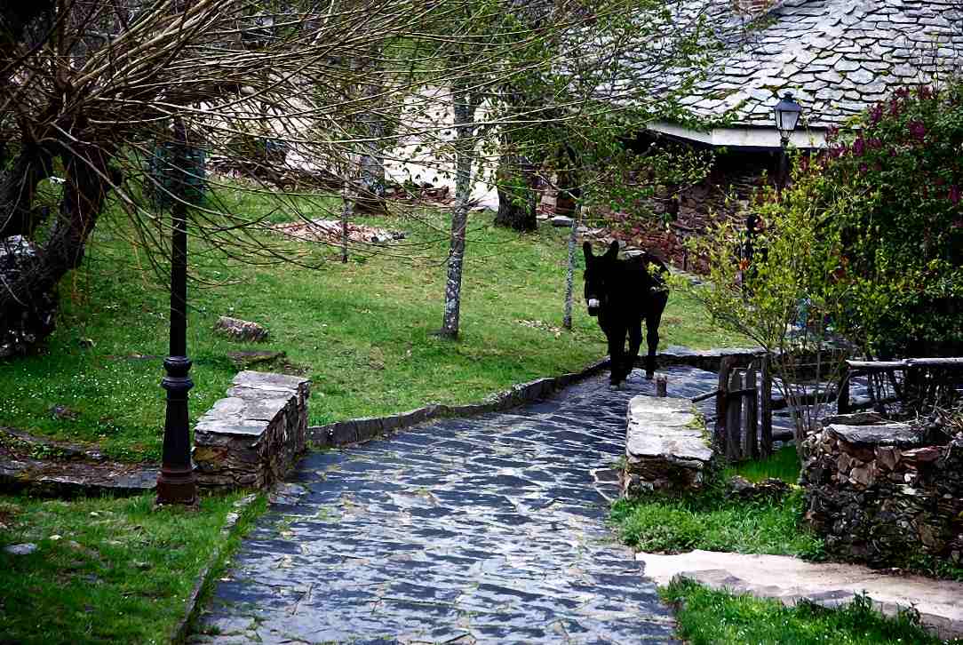 Foto de Umbralejo (Guadalajara), España