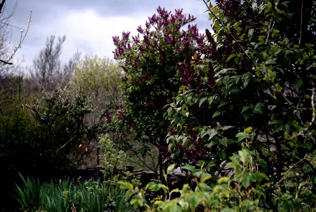 Foto de Umbralejo (Guadalajara), España