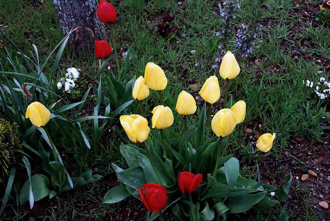 Foto de Umbralejo (Guadalajara), España