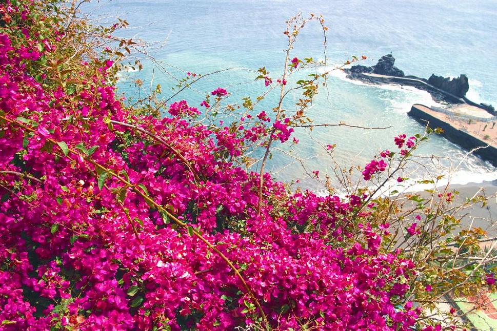 Foto de San Sebastián - La Gomera (Santa Cruz de Tenerife), España