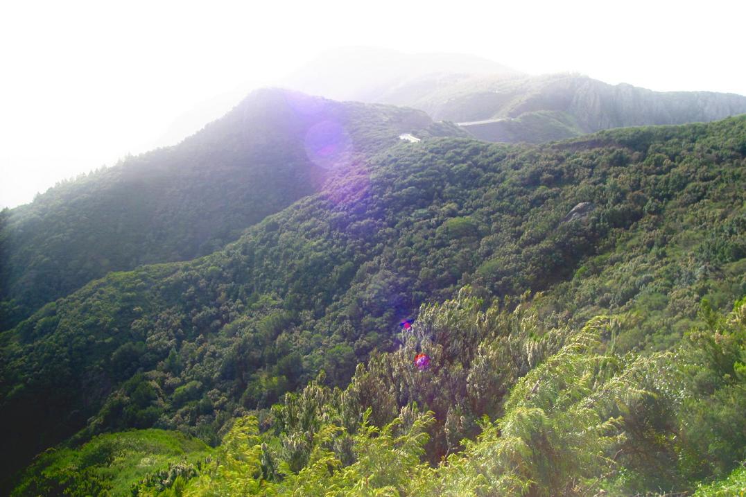 Foto de San Sebastián - La Gomera (Santa Cruz de Tenerife), España