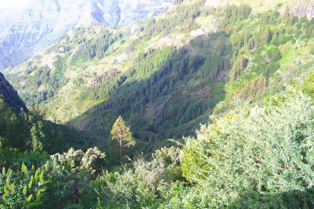 Foto de San Sebastián - La Gomera (Santa Cruz de Tenerife), España