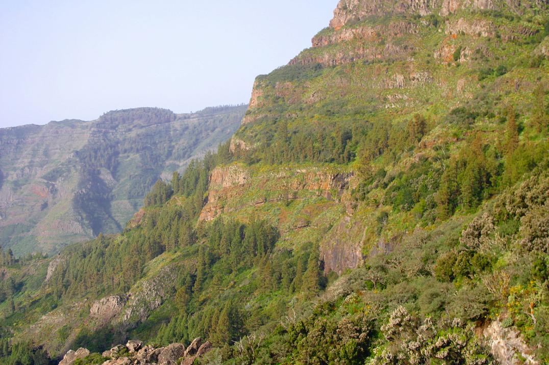 Foto de Garajonay - La Gomera (Santa Cruz de Tenerife), España