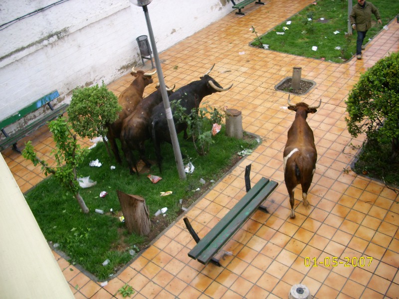 Foto de Pinseque (Zaragoza), España