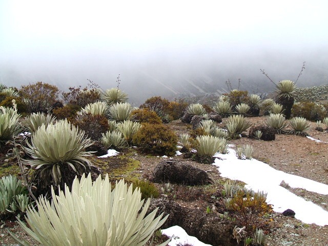 Foto de Edo. Merida, Venezuela