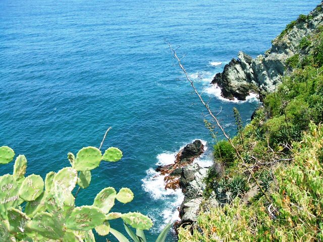 Foto de Choroni, Venezuela