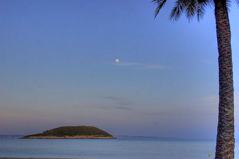 Foto de Palma de Mallorca (Illes Balears), España