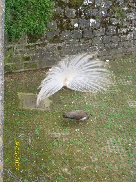 Foto de Pamplona (Navarra), España
