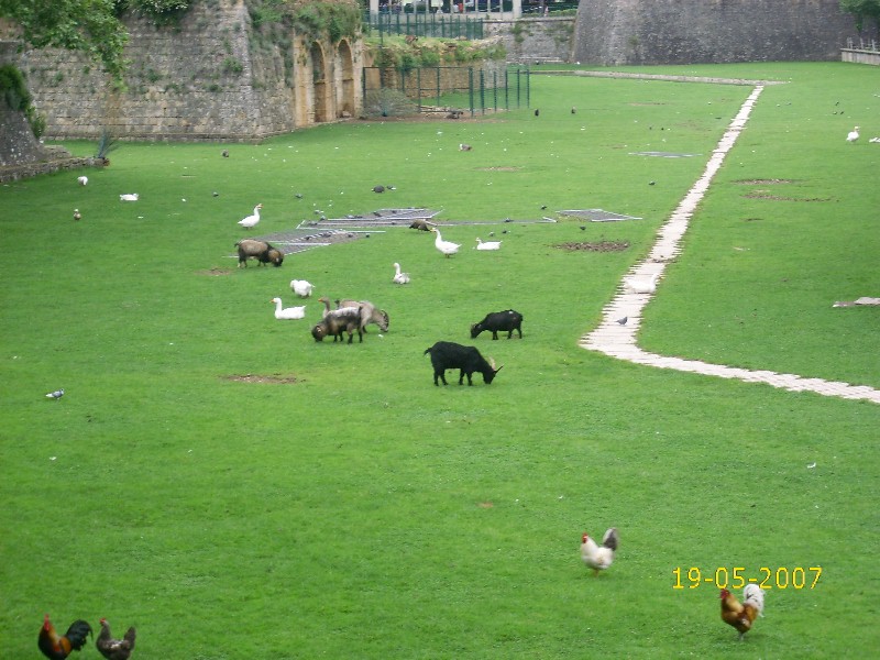 Foto de Pamplona (Navarra), España