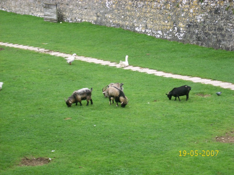 Foto de Pamplona (Navarra), España