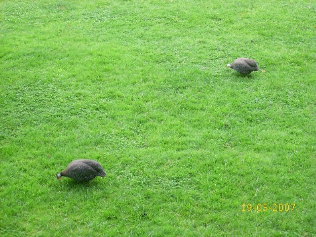Foto de Pamplona (Navarra), España