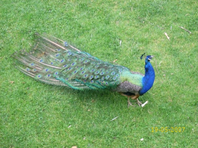 Foto de Pamplona (Navarra), España