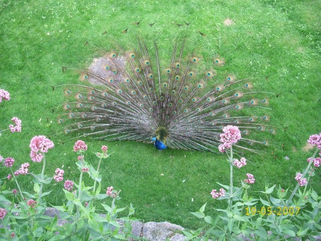 Foto de Pamplona (Navarra), España