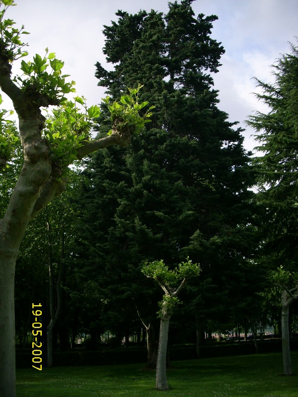 Foto de Pamplona (Navarra), España