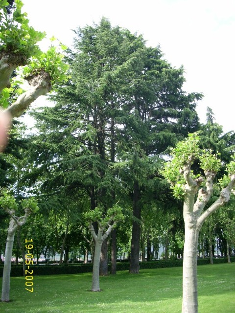 Foto de Pamplona (Navarra), España