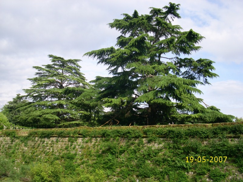 Foto de Pamplona (Navarra), España