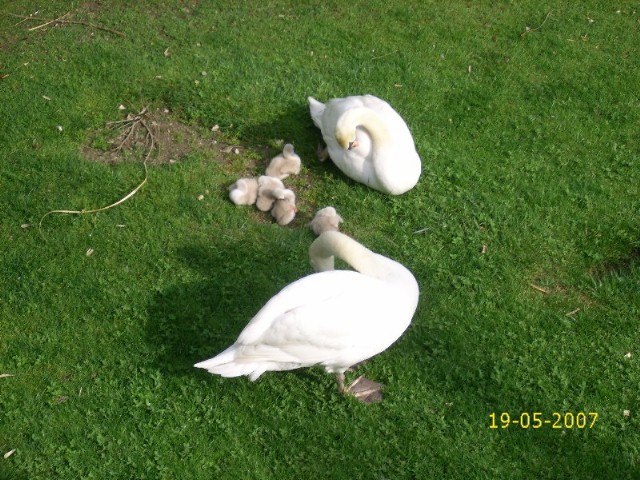 Foto de Pamplona (Navarra), España