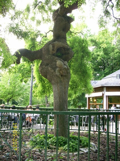 Foto de Pamplona (Navarra), España