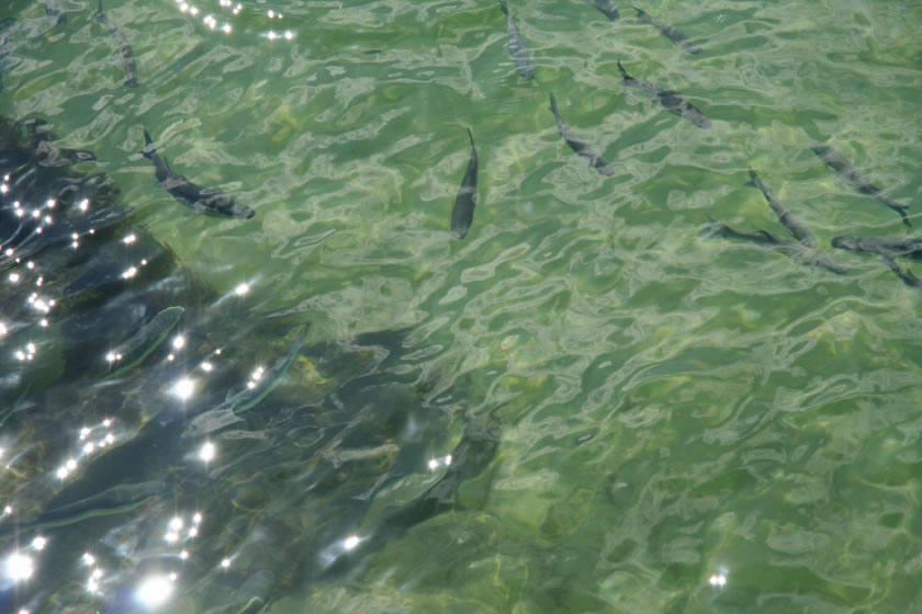 Foto de Donosti (Gipuzkoa), España