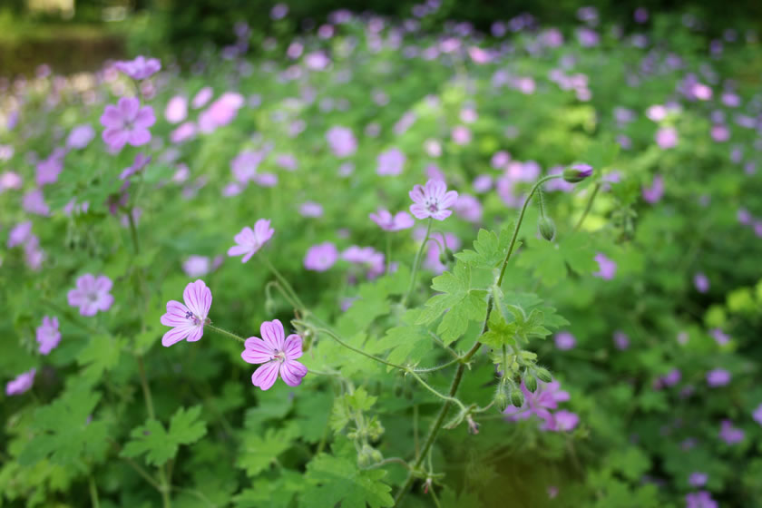 Foto de Valencia (València), España