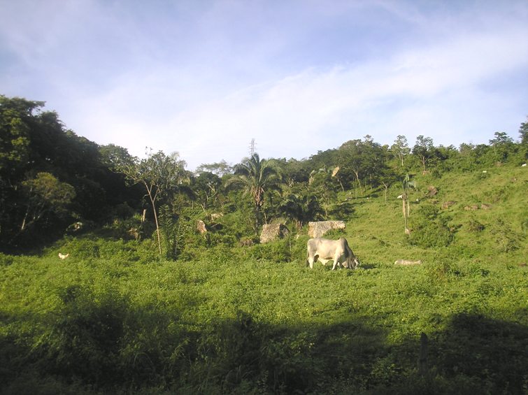 Foto de Casanare, Colombia