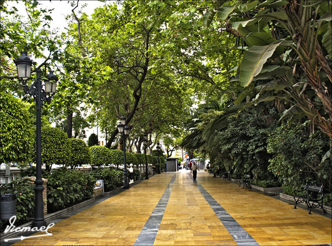 Foto de Marbella (Málaga), España