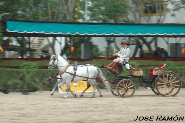 Foto de Jerez de la Frontera (Cádiz), España