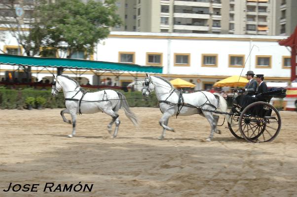 Foto de Jerez de la Frontera (Cádiz), España