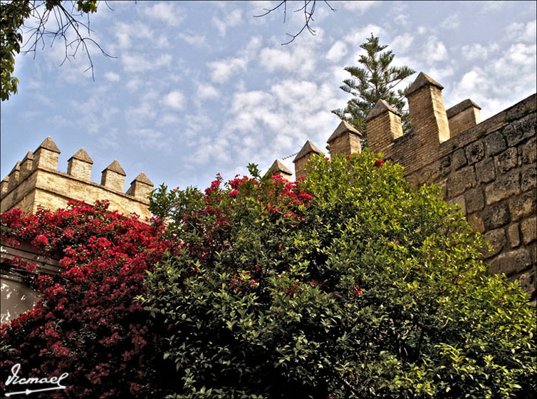 Foto de Sevilla (Andalucía), España