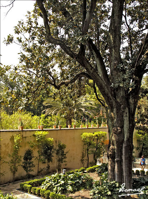 Foto de Sevilla (Andalucía), España