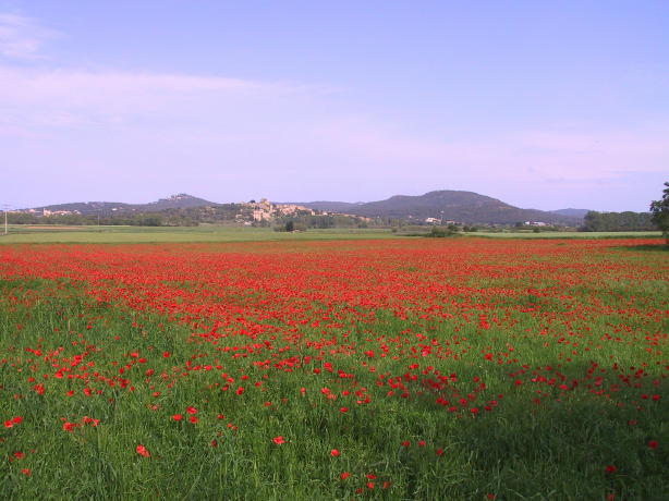 Foto de Sant Feliu de Boada (Girona), España
