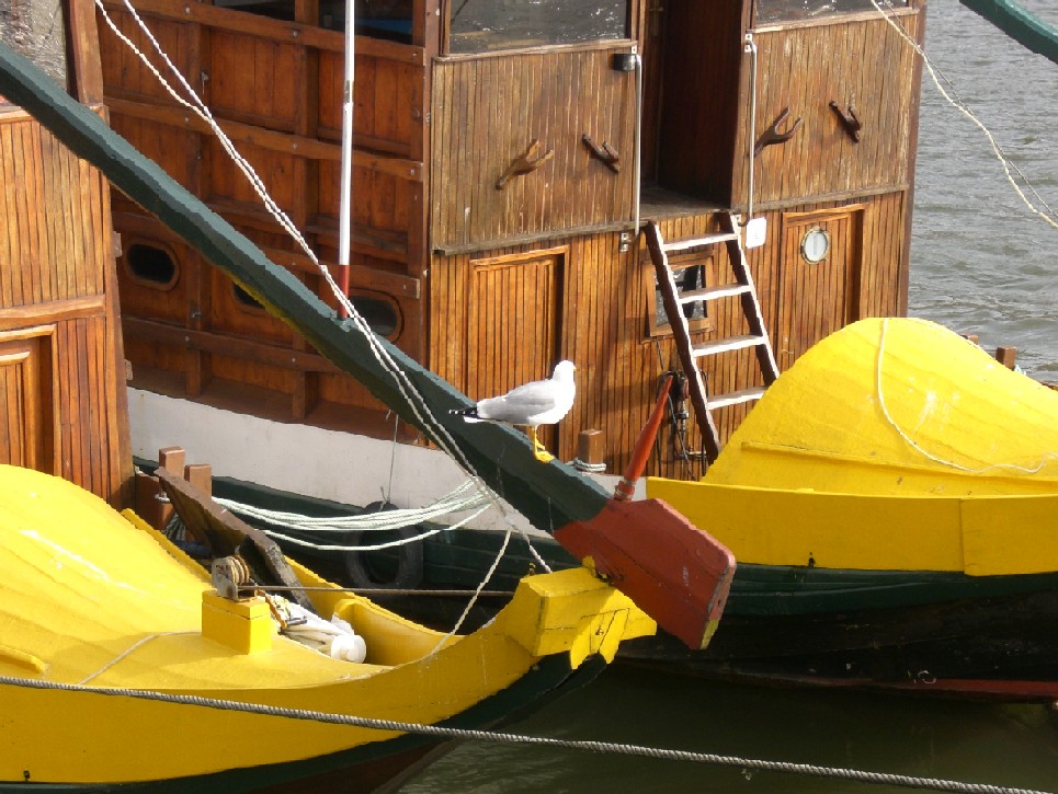 Foto de Porto, Portugal